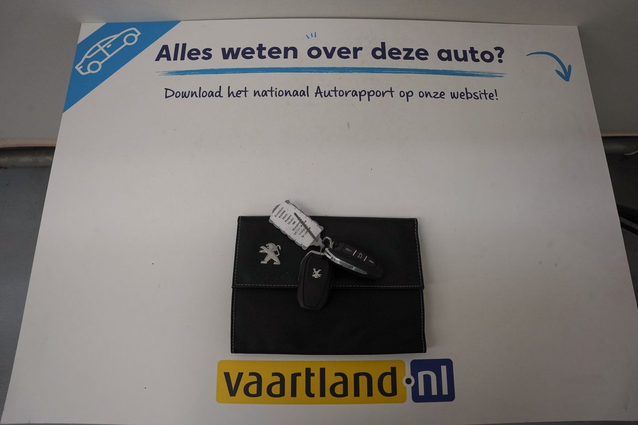 Afbeelding 51