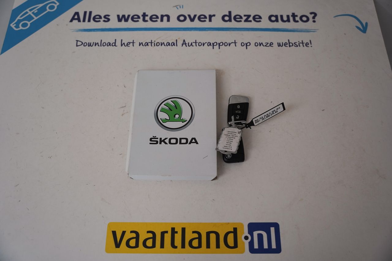 Afbeelding 51