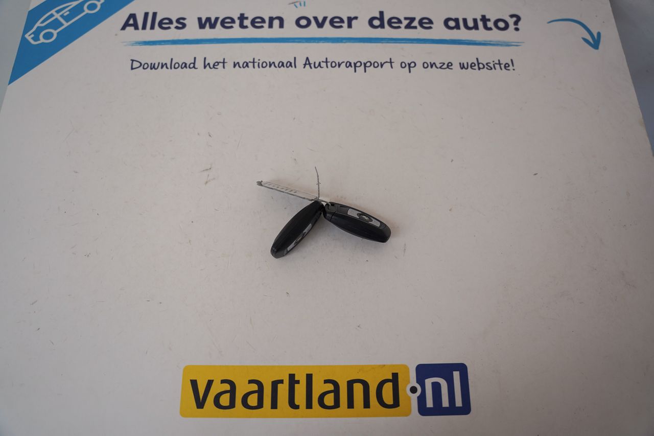 Afbeelding 41